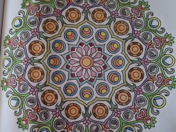 whatsapp bild 2025-02-21 um 12.23.40_b42afff0